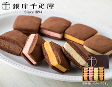 銀座焼きショコラサブレ　PGS-276の画像