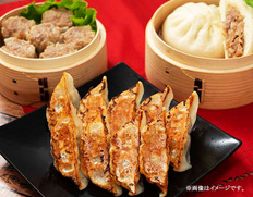 大阪ふくちぁん餃子・点心セットの画像