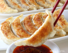 【栃木県】宇都宮餃子 宇味家のぎょうざ 2箱(48個)の画像