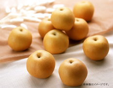 【愛知・長野・新潟県産】豊水梨2㎏【2026年9月中にお届け】の画像