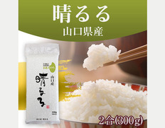 【メール便】オコメール47(山口産晴るる300g)の画像