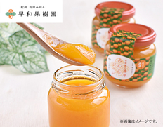 果樹園の濃厚みかんジュレ６個セットの画像