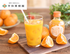 【和歌山県】有田みかんジュース「味まろしぼり」１２本セットの画像