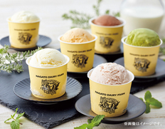 【長野県】長門牧場アイスクリーム8個セットの画像