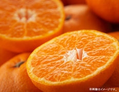 【愛媛県】愛媛みかん5ｋｇ【2026年11月〜12月にお届け】の画像