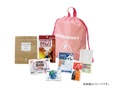 女性のための非常持出8点セット LDH-CFの画像