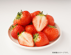 【香川県】美味いちご園のさぬきひめ【2027年2月下旬〜5月にお届け】　の画像